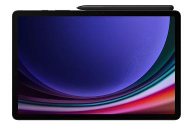 Samsung Galaxy Tab S9 Šedý